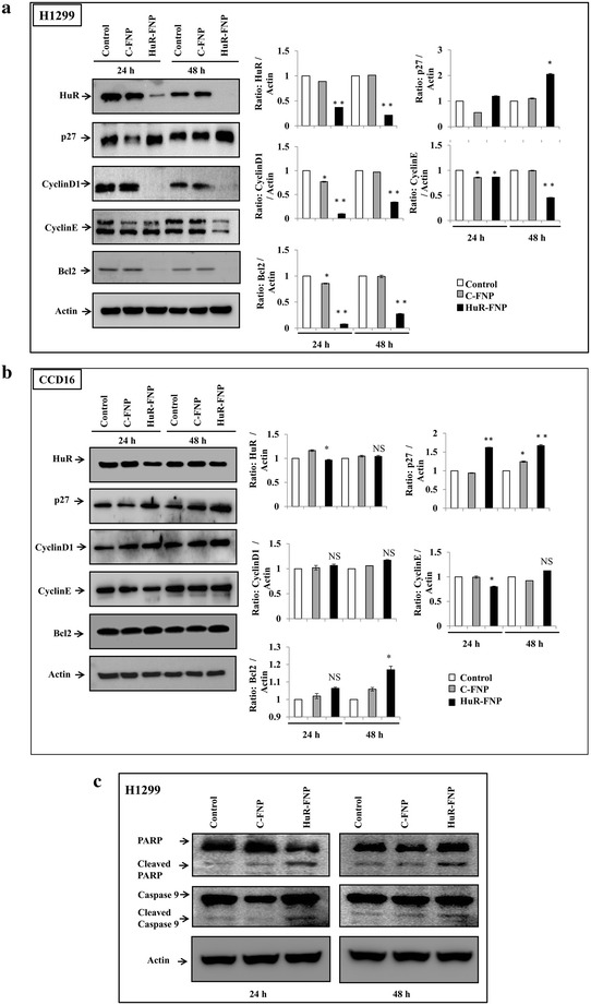 Fig. 7