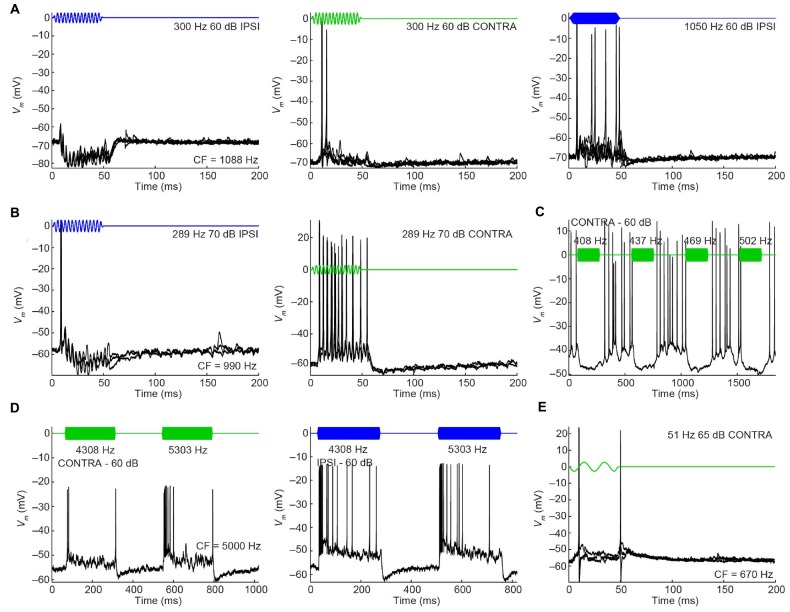 FIGURE 11