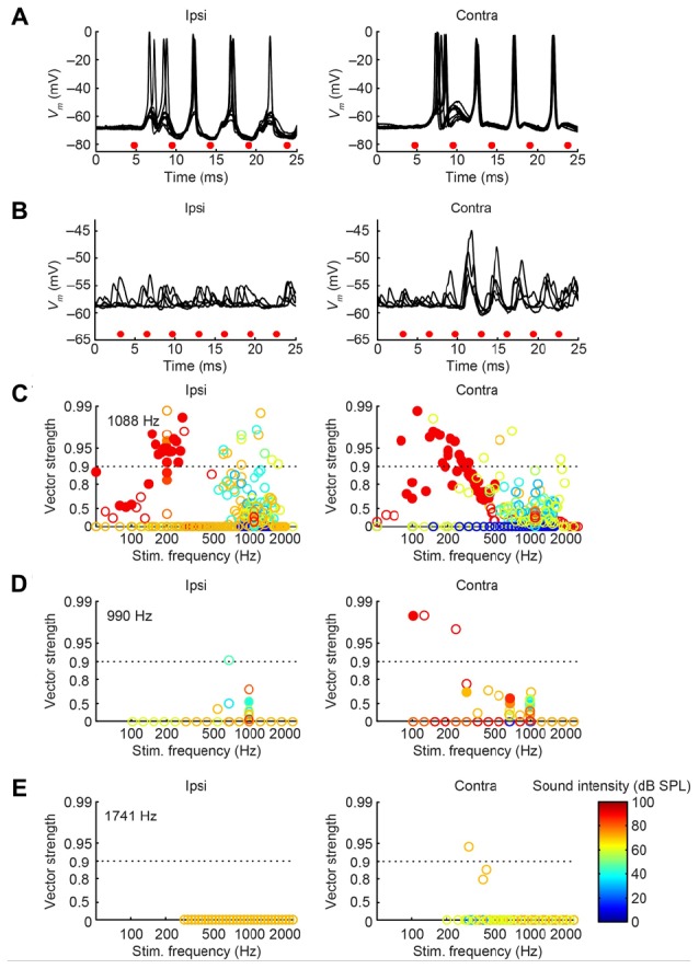 FIGURE 13