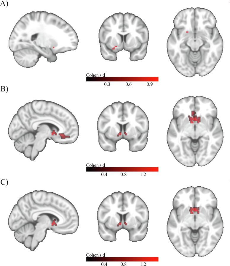 Fig. 6