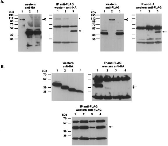 FIG. 7