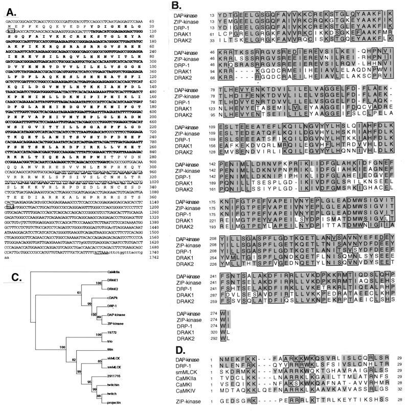 FIG. 1