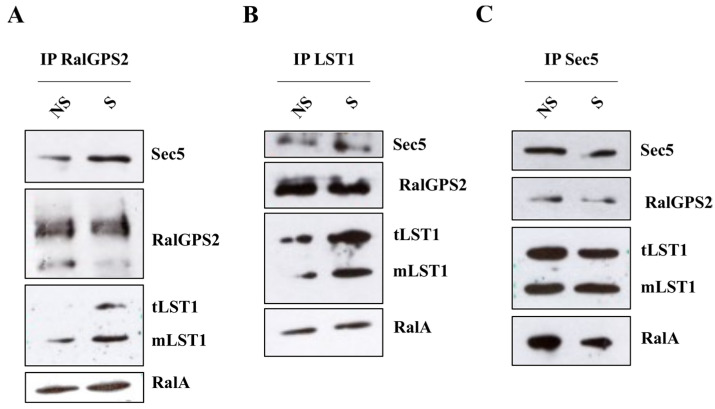 Figure 12