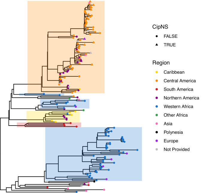 Figure 1—figure supplement 4.