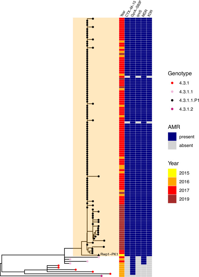 Figure 4.