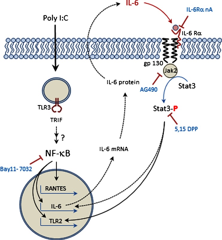 Fig. 6