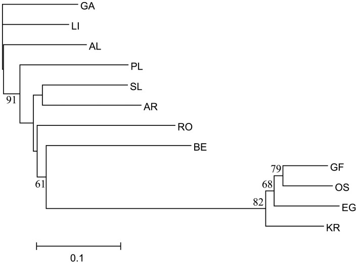 Figure 6