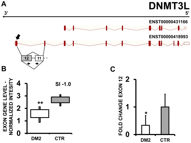 Figure 12