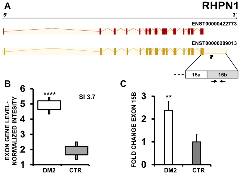 Figure 14