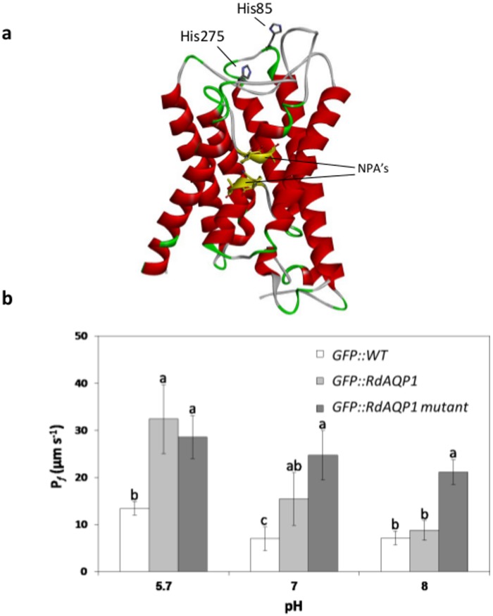 Fig 7