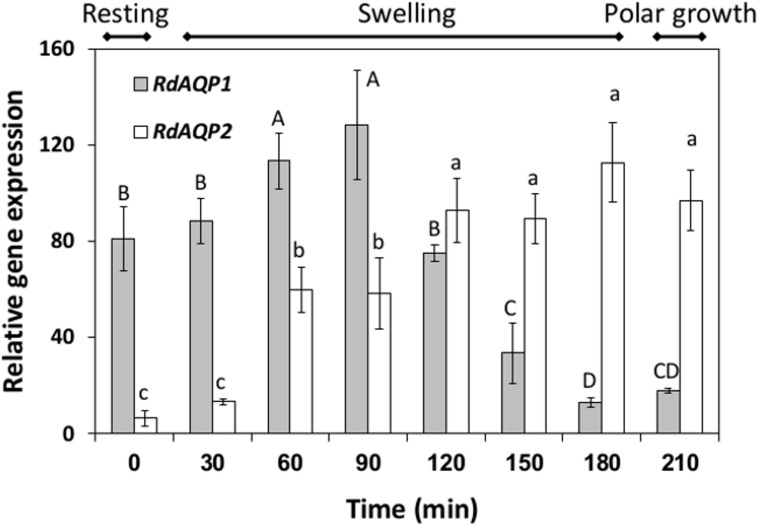 Fig 4