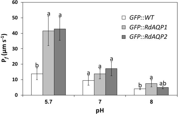 Fig 6