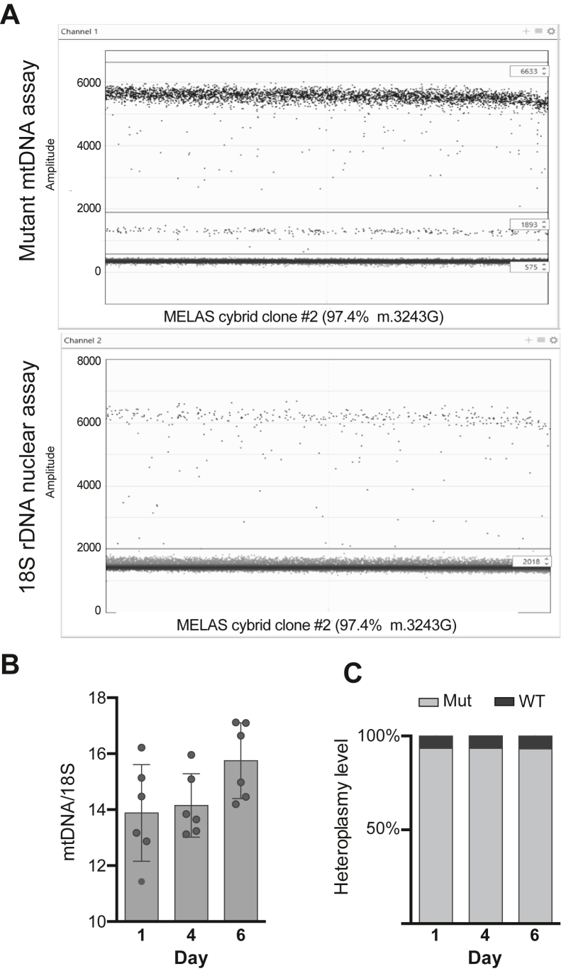 Figure 5