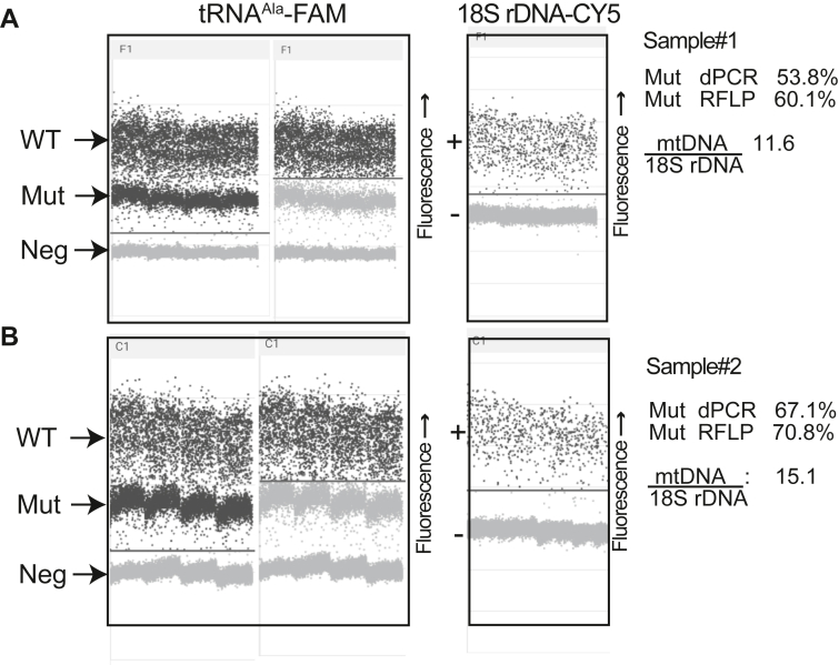 Figure 6