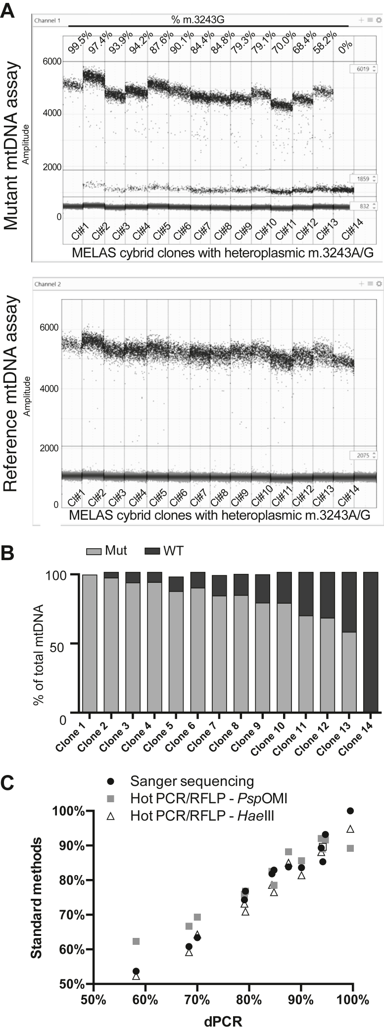 Figure 3