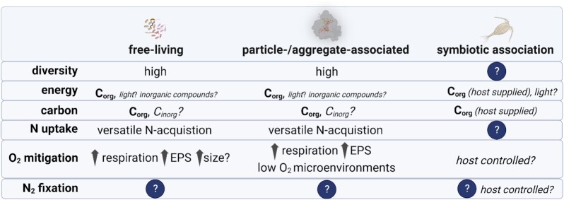 Figure 7.