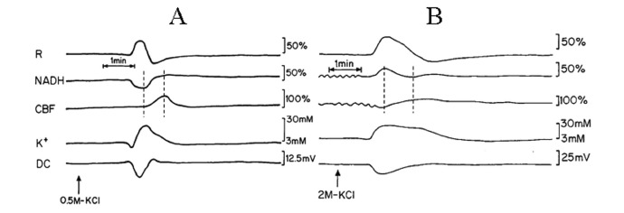 Fig. (2)