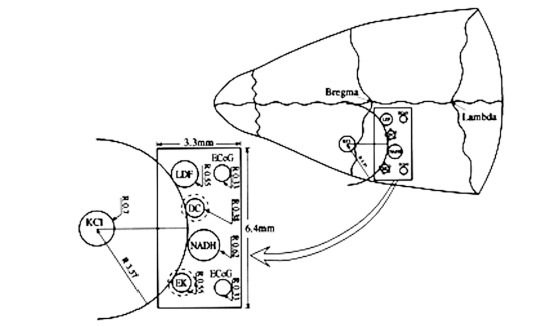 Fig. (1)