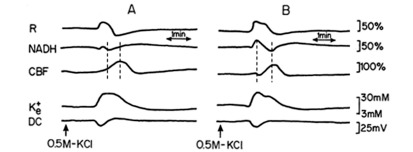 Fig. (4)