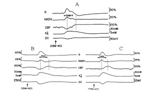 Fig. (6)