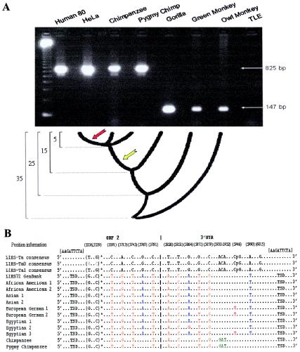 Figure  3