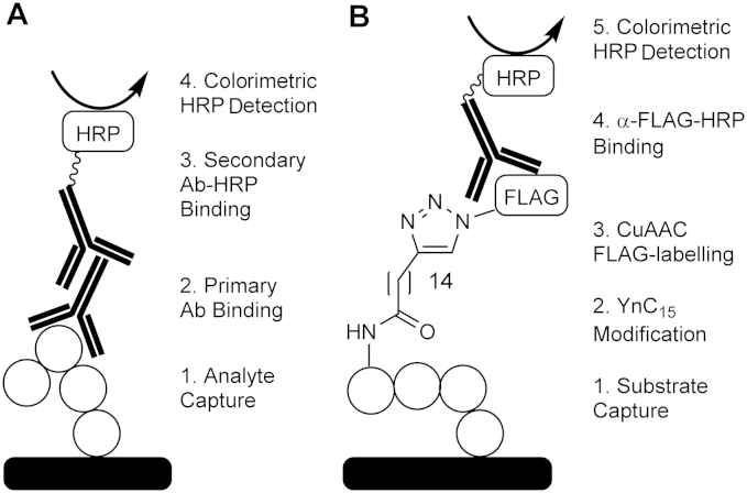 Fig.1