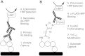 Fig.1