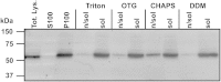 Fig.2