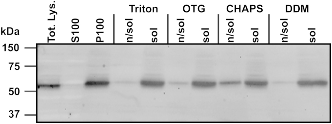 Fig.2