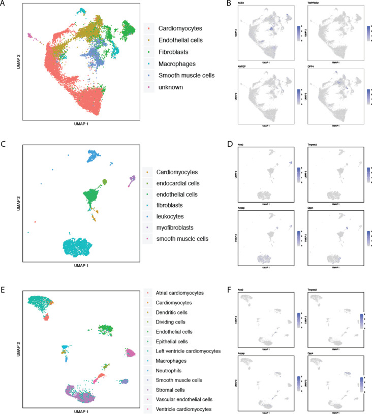 Figure 2—figure supplement 7.