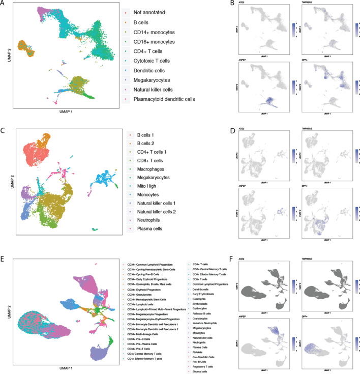 Figure 2—figure supplement 13.