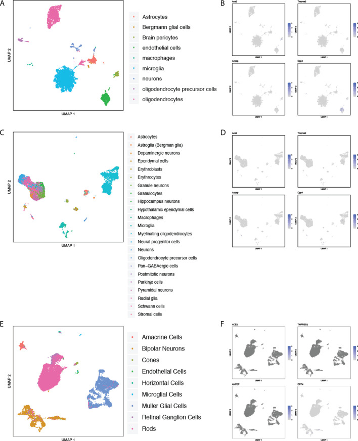 Figure 2—figure supplement 17.