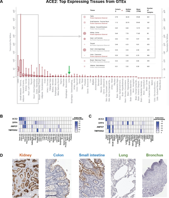 Figure 2—figure supplement 2.