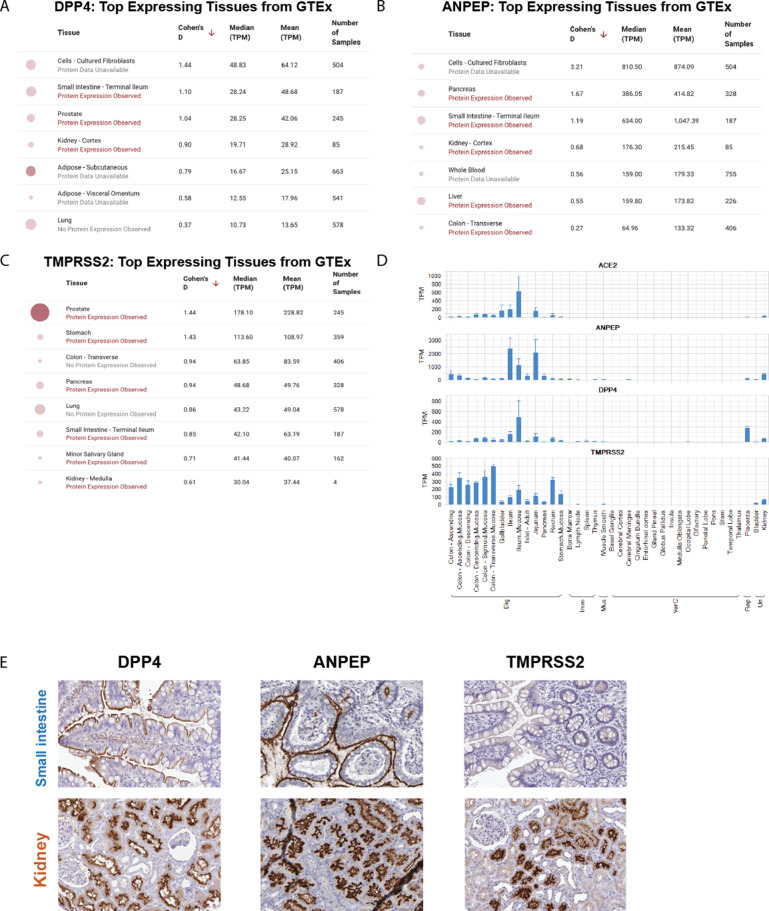 Figure 2—figure supplement 5.