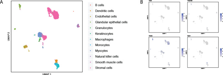 Figure 2—figure supplement 16.