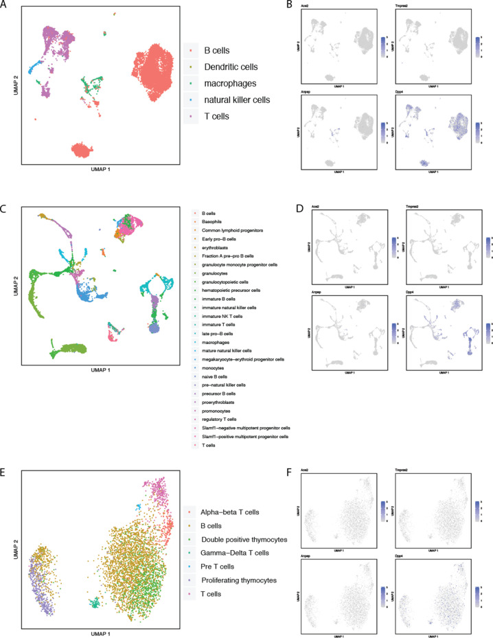 Figure 2—figure supplement 14.