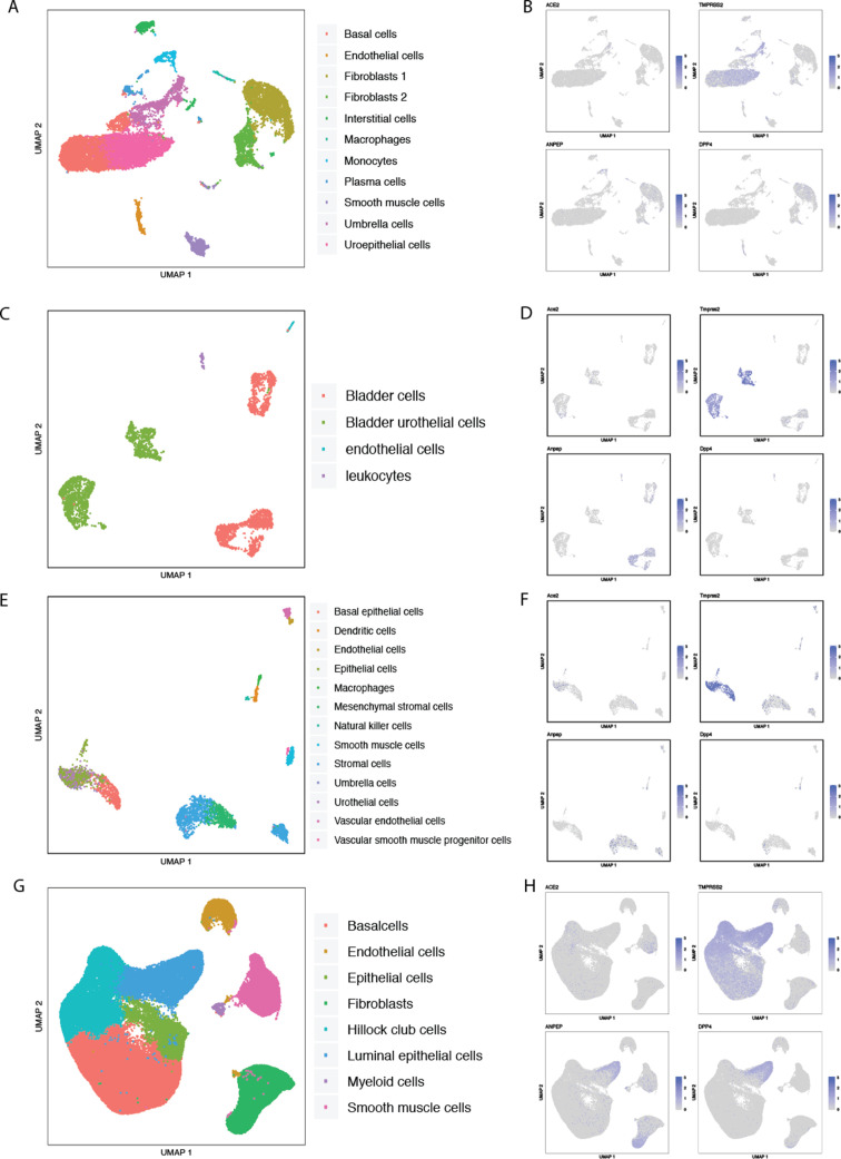 Figure 2—figure supplement 15.