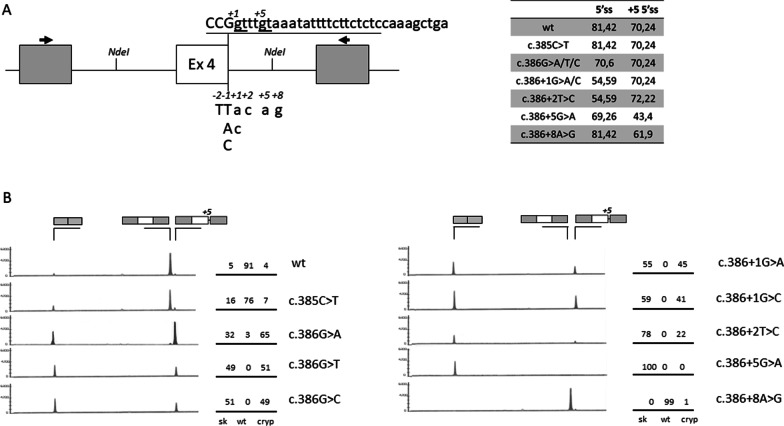 Fig. 4