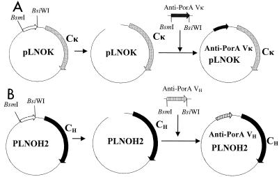 FIG. 1.