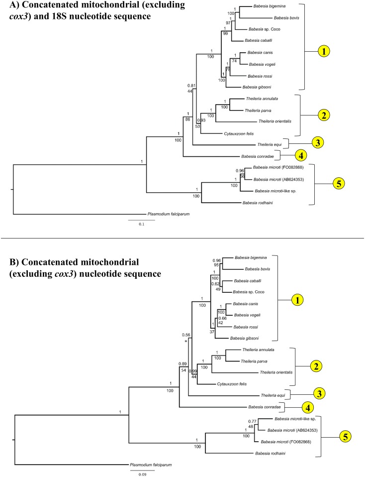 Fig 4