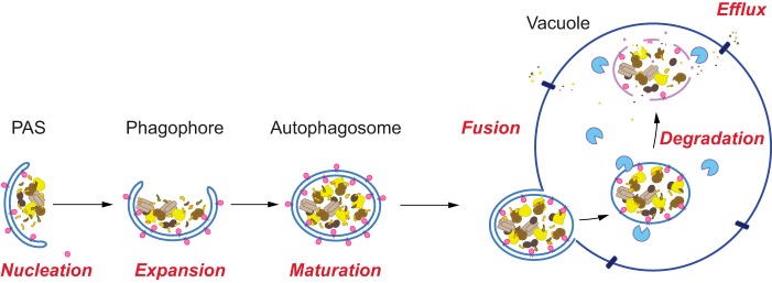 Figure 2.