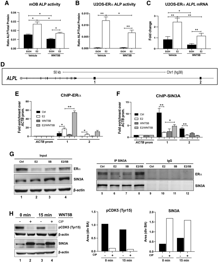 Figure 7