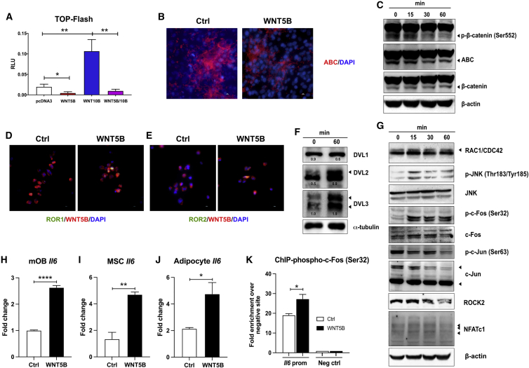 Figure 6