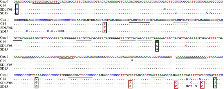 Figure 5