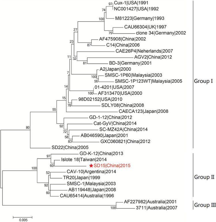 Figure 4