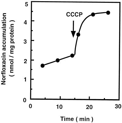 FIG. 1