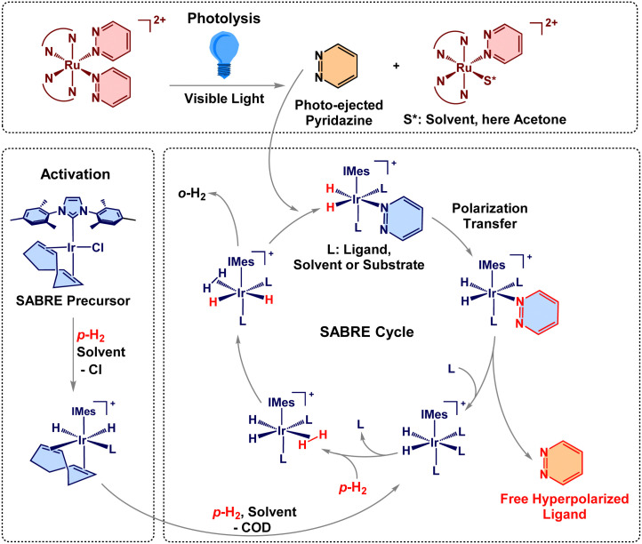 Scheme 1