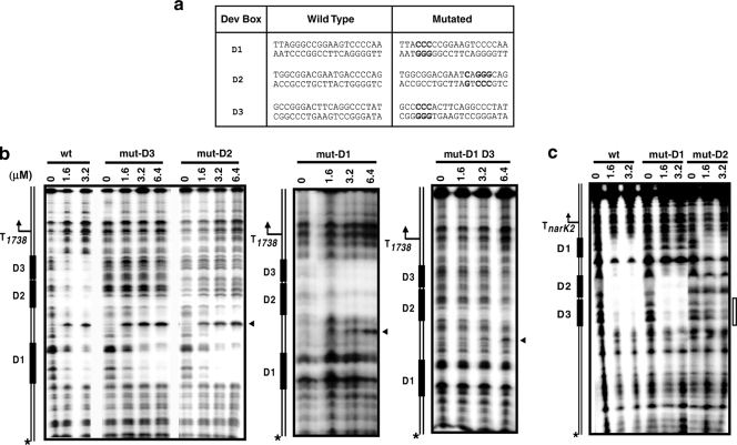 FIG. 6.