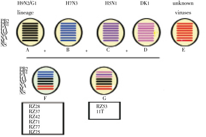 Figure 4.