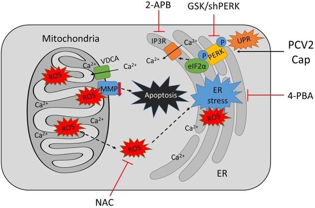 FIG 8